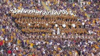 Neck in LSU's Death Valley