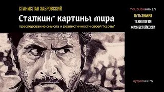 С. Забровский "Сталкинг картины мира" | АУДИОКНИГА