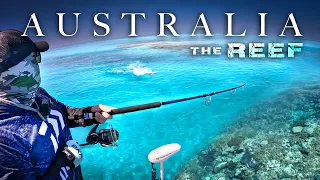 Australia's Biggest Reef Fish Captured on Film !!