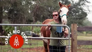 How Equine Therapy Helps Veterans Cope With PTSD