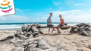 Aruba - Unsere letzte Reise vor der Pandemie | YourTravel.TV