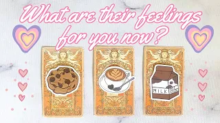 🌷HOW DOES YOUR CRUSH/PERSON FEEL FOR YOU NOW 💖🌷PICK A CARD Tarot reading