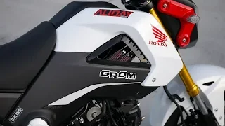 This is How I Made My Honda Grom FASTER | Intake & ECU Flash