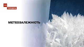 Метеозалежність: синоптики попереджають про короткочасні арктичні морози