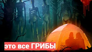 То что Случилось с Этими Туристами повергнет Вас в ШОК. Мистическая история