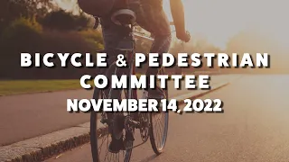 VOA - Bicycle & Pedestrian Committee Meeting - 11/14/2022