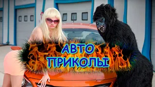 АВТО ПРИКОЛЫ | 20 МИНУТ СМЕХА | АВТО ПОДБОРКА ЛУЧШЕЕ