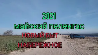 Майский пеленгас 2021 Появление пеленгаса Новый быт Пеленгас Набережное пеленгас Азовское море