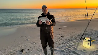 Florida Pompano love them pompano rigs.