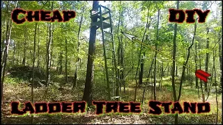 Cheap 🔨 DIY 🔨 Ladder Tree Stands... (2x4's)