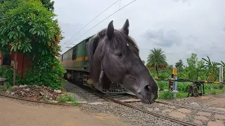 Deadly Dangerous MAD Horse Headed Container Wagons Freight Trains Furious Aggressive Moving Railgate