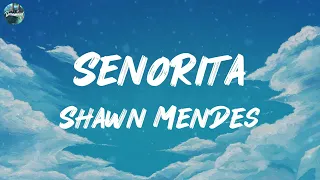 Shawn Mendes - Señorita (MIX LYRICS) | Billie Eilish, Rema, Olivia Rodrigo