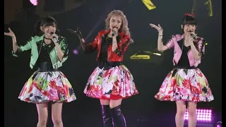 Buono! (Café Buono! - Early Bird - Kokoro no Tamago - Minnai Daisuki - We are Buono!)