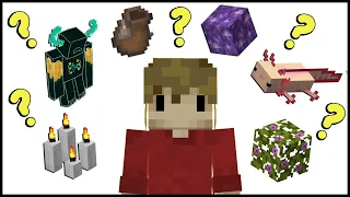 My thoughts on the 1.17 Minecraft Update