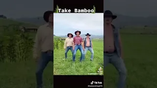 take bamboo gyal