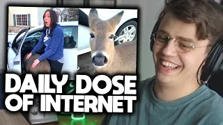 Papaplatte reagiert auf DAILY DOSE OF INTERNET! (CUTE EDITION) 🙊😄 | Papaplatte Highlights