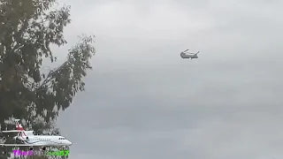 Military Chinook CH-47 (ZA683) Flying nearby