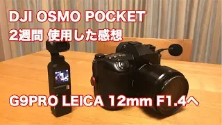 DJI OSMO POCKET 2週間使った感想 G9PRO パナライカ12mm F1.4へ #197 [4K]