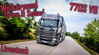 WALKAROUND & DRIVE: New Scania 770S V8 // *Stock Sound* *Kő-Kavics Trans Kft.*