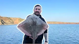 Milford Haven | Shore Fishing My Local Area West Wales