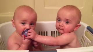 Twins Share A Pacifier | Cutest Moments | KYOOT