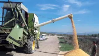 2016 Corn Harvest