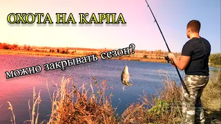 РЫБАЛКА НА "РЫБХОЗЕ", ОСЕННИЙ КЛЁВ КАРПА, (спускают пруды, перекармливают рыбу).