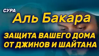 Сура Аль Бакара, обязательно включайте в ваших дома. Зашита от джинов и шайтана.