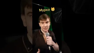 Роман Ефимов - Опачки! Мурка!