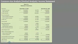 Common-size Analysis (Vertical Analysis): Income Statement
