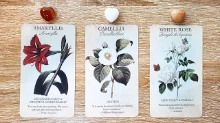 THE MESSAGE YOU HAVE BEEN WAITING FOR! 🌹🍰🌿 | Pick a Card Tarot Reading