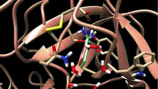 Molecular Docking using AutoDock Vina and UCSF Chimera