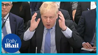 Partygate: Boris Johnson swears he told the truth on lockdown rules | Privileges Committee hearing