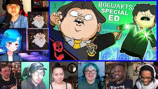 Average Hogwarts Legacy Fan (cartoon) By Flashgitz REACTION MASHUP