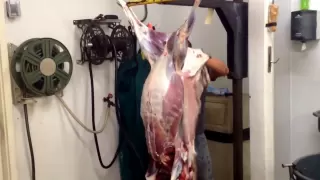 Peach Orchard Deer Processing-David Skinning a deer in under two minutes!!