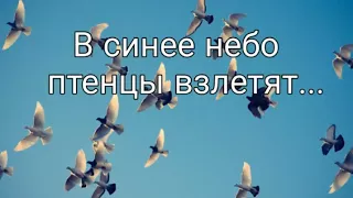 В синее небо птенцы взлетят - христианская песня.