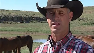 America's Horse - Babbitt Ranches Best Remuda 2005 - AQHA