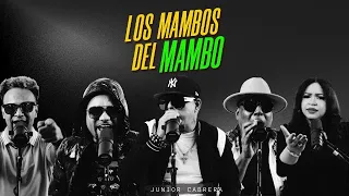 LOS MAMBOS DEL MAMBO 🔥🔥🔥 #losmambosdelmambo