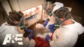 HORRIFIC Hoard of Cats Leads to Heartwarming Cleanup | Hoarders | A&E