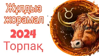 2024 жылға арналған торпақ белгісіне жұлдыз жорамал