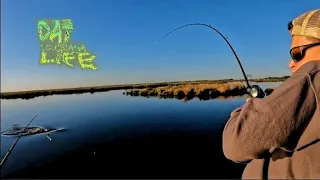 Chasing Redfish - South Louisiana Marsh (Bonus End Footage)