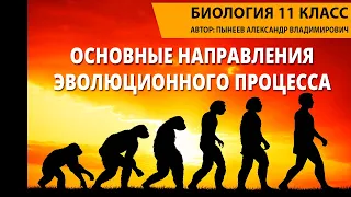 Основные направления эволюционного процесса