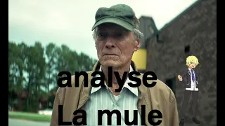 ANALYSE DE FILM [ La mule Clint Eastwood & Bradley Cooper]