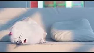 Тайная жизнь домашних животных 2016  (The Secret Life of Pets)