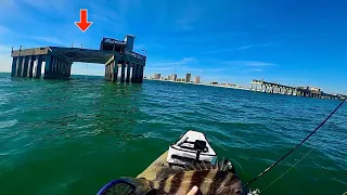 TOSSED a LIVE! BAIT Under THIS Abandoned PIER and CAUGHT THIS!