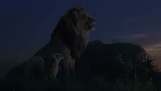 Father and son precious moment clip ( 4K  Ultra HD)☆ The Lion King (2019) | Tank