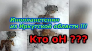 Инопланетянин из Иркутской области !!!  КТО ОН???