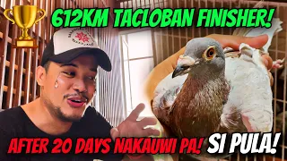 1ST TACLOBAN BIRD NAMIN SA DREAM LOFT! DREAM BIRD NATUPAD NA 🏆🏆🏆