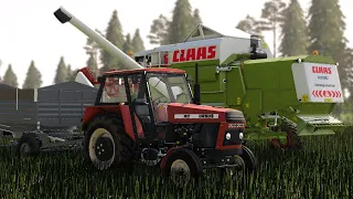 Żniwa Rzepaczane na Polskiej Wsi I Farming Simulator 19