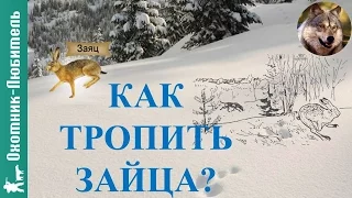 Как тропить зайца?